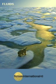 Fiction International 48