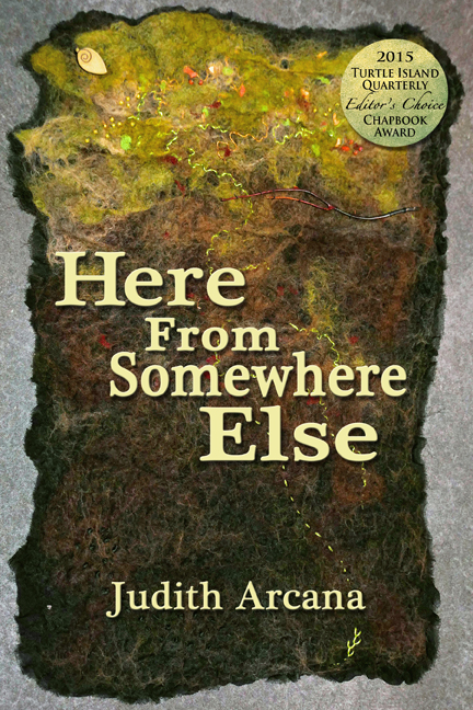 HFSE_front_cover_small